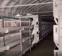 Équipement d'élevage avicole de type H entièrement automatique au design moderne, cages pour poulets de chair