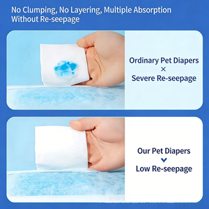 Pañales Desechables para Perros, Ultra Absorbentes, con Logotipo Personalizado, al por Mayor, ODM/OEM, a Prueba de Fugas, Talla XXL, para Razas Pequeñas, Machos y Hembras - Product Image 4