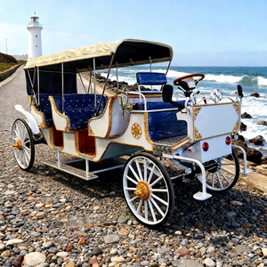 Chariot de Mariage Électrique de Luxe à Chevaux pour Visites Touristiques Européennes Romantiques - Product Image 1
