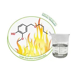 99% saveur et parfum vanillyl butyl éther VBE pour agent chauffant de soin quotidien CAS: 82654 Hotact VBE