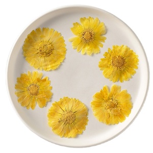 Fournitures pour la création de cartes Marigold <span class=keywords><strong>Cosmos</strong></span>, bijoux en résine, fleurs séchées pressées naturelles, écologiques - Product Image 1