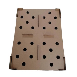 Corrugated brown cardboard baby chick carrying packaging box/chick transport box HJ-DN022