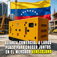 Générateur diesel insonorisé triphasé Venezuela 60 kW 80 kW 200 kW 100 kVA