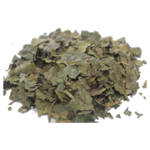 Feuilles de mûrier cueillies à la gelée, fourniture d'usine, pour le thé santé du sucre sanguin et comme matière première pour les tranches chinoises - Product Image 3