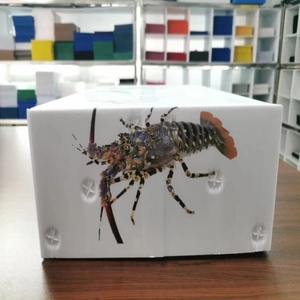 Cajas de Embalaje de Mariscos y Ostras de Polipropileno Corrugado Reciclable al Mejor <span class=keywords><strong>Precio</strong></span>, Cajas de Plástico Huecas para Almacenamiento y Transporte de Langostas - Product Image 3