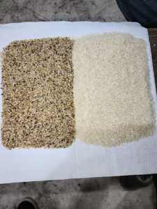 Machine <span class=keywords><strong>de</strong></span> tri <span class=keywords><strong>de</strong></span> couleurs à haute efficacité, <span class=keywords><strong>type</strong></span> chute, capacité 99,9 %, précision 99,9 % - Product Image 2