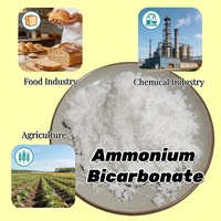Bicarbonato de Amonio de Grado Industrial/Agrícola/Alimentario, Alto Contenido de Nitrógeno, 99.5% de Pureza, Empaque de 25 kg/bolsa para Aditivos Alimentarios