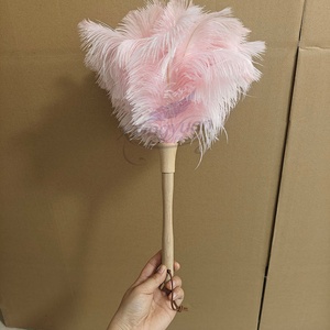 <span class=keywords><strong>Plumeau</strong></span> en Plumes d'Autruche de Haute Qualité, Emballage Personnalisable, Lavable, pour Usage Domestique - Product Image 3