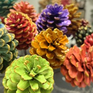 Ingrosso di Coni di Pino Naturali, Noci di Pino, Fiori Secchi per Decorazioni di Laurea, Festa della Mamma, Pasqua, Natale, Dipinti a Mano - Product Image 5