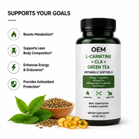 Gélules molles OEM L-Carnitine CLA Thé Vert pour le métabolisme, soutien énergétique, gestion du poids, supplément antioxydant pour adultes