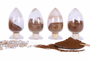 Çin prim tedarikçisi üst Ganoderma Reishi kabuk-kırık Sporoderm-kırık Spore tozu Reishi mantarı Extractt - Product Image 4