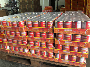 Frijoles rojos enlatados en salmuera Frijoles enlatados en salsa de tomate Fabricación por contrato y exportaciones de etiqueta privada - Product Image 6