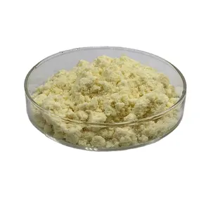 Polvere sfusa estratto di radice di zenzero in polvere Gingerols 1% ,2.5%, 10% 5%