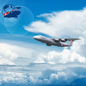 Transitaire de fret aérien de service d'<span class=keywords><strong>agent</strong></span> d'expédition porte-à-porte expédiant la Chine vers l'Arabie Saoudite Italie - Product Image 4