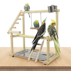 Eco-Friendly Natural Wood Parrot Playstand <strong>Bird</strong> Play Gym Removable Waste Tray Feeder Cups <strong>Bird</strong> Perch Playpen Parakeet <strong>Toy</strong> - Product Image 6