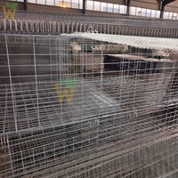 Cage pliable en fil soudé pour coqs de combat, maille de 2 mm, installation facile, cage d'entraînement pour poulets