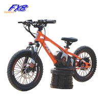 FXB Style 16 pouces Mini vélo d'équilibre électrique à vitesse rapide pour enfants