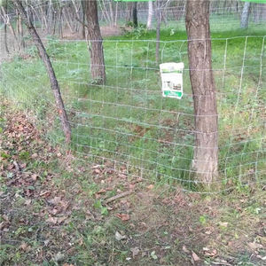 Clôture de ferme à champ fixe galvanisée à chaud Clôture de sécurité pour moutons de ferme en fil de porc <span class=keywords><strong>Poteau</strong></span> de clôture de ferme de 2.4m - Product Image 3