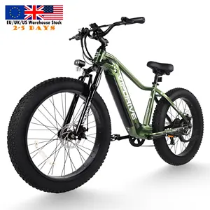 Vipdrive US Warehouse Drop Shipping 26" Fat Tire Ebike 48V 15AH Best Battery Dual Susponsion MTB Electric Snow Beach Bicycle