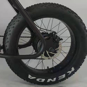 E Bikes <span class=keywords><strong>2023</strong></span> vélo électrique gros pneu de haute qualité chargement lourd vélo électrique une roue pc 20 pouces - Product Image 3