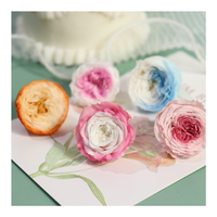Fournisseurs actifs de têtes de roses conservées 2-3 véritables roses naturelles pour toujours pour la décoration intérieure ou l'arrangement de mariage