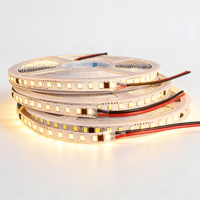 Bande LED flexible étanche IP20 pour extérieur, 2835, 8 mm, haute tension AC220V 110V, sans driver