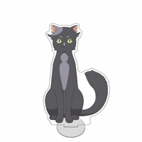 Figurine en acrylique de 15 cm Anime le Chat, support de figurine, plaque décorative de bureau, accessoires d'animation, cadeaux pour fans, porte-clés