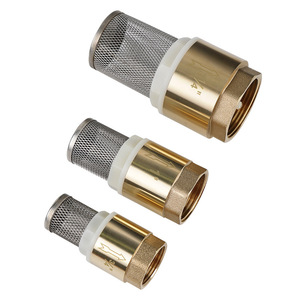 Válvula de retención de latón de 3/4 pulgadas con filtro de acero inoxidable para control del flujo de agua - Product Image 4