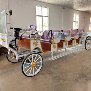 Vehículo Eléctrico de Paseo con Estilo Zhenda, Carruaje para Parques de Atracciones, de Henan, en Venta - Product Image 5