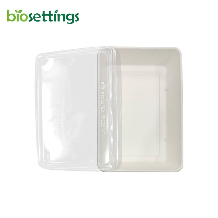 Бесплатная прямоугольная Зеленая упаковка PFAS, экологически чистые большие лотки для суши, набор из целлюлозы сахарного тростника, контейнер для суши с крышкой, коробка