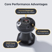 Tweeter à compression en titane de 3 pouces 300W avec cornet, haut-parleur audio professionnel de 2 pouces pour système de sonorisation, scène et équipement DJ
