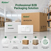 Indikator LED Hijau Kolani, Saklar Lampu Dinding 2 Gang Tahan Lama, Modul Ganda 120, Pemasangan Tersembunyi, 16A 250V IP20, Panel PC Putih Mengkilap