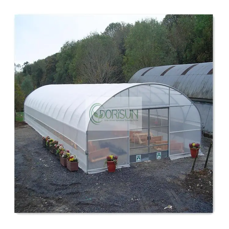 Cerceau de culture de légumes maison serre agricole à travée unique tunnel à vendre