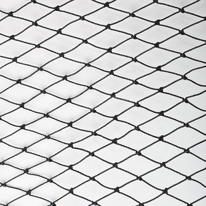 Chất lượng cao thắt nút HDPE bảo vệ chim Net chống <span class=keywords><strong>Bird</strong></span> lưới cho gạo lĩnh vực - Product Image 3