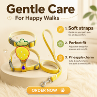 Laisse de mode pour chat avec jouet en peluche monté au dos et chaîne en forme de I mignonne motif fraise pour petits chiens et chats - Promenades en extérieur