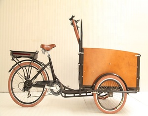 Tricycle électrique à <span class=keywords><strong>3</strong></span> <span class=keywords><strong>roues</strong></span>, avec chariot, vente en gros, néerlandais - Product Image 4