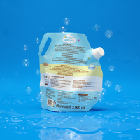 Sac de remplissage de liquide vaisselle de qualité alimentaire de 2 kg avec bec verseur, pochette de forme spéciale, emballage de détergent à lessive avec buse de distribution