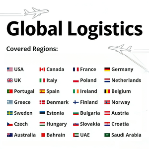 Entrega Exprés a Israel y Jordania con Logística Internacional Rápida, Transporte Aéreo DDP - Product Image 3