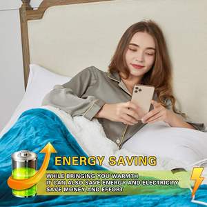 Aquecimento Cobertor com Controle Duplo 10 Níveis de Aquecimento e 8 Horas Auto Off - Product Image 4