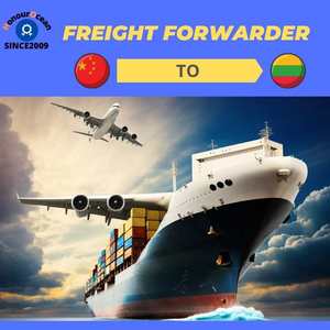 Railway Shipping Door to Door Freight Transportation Air Cargo Logistics <strong>Services</strong> Provider From China to Lithuania