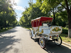 Calèche de mariage lumineuse style Cendrillon, calèche royale traditionnelle pour touristes, calèche à chevaux <span class=keywords><strong>d</strong></span>'extérieur - Product Image 1