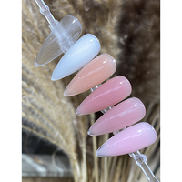 Beshyne Vernis Semi-Permanent Poly Gel Personnalisable Sous Marque Privée UV LED, Extension d'Ongles Sans HEMA TPO, Fournitures d'Ongles Acryliques Personnalisées