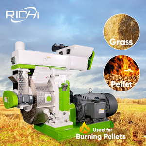 Richi SINH KHỐI PELLET Mill 3-4t/h SINH KHỐI trấu rơm cỏ PELLET Máy làm - Product Image 1