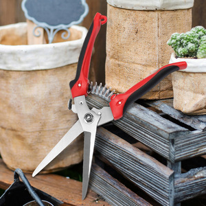 Lu Ban's Work Gardening Shears 205mm Stainless Steel Butterfly Bypass <b>Pruner</b> For Fruit Vegetable Harvesting And Thinning - Product Image 1