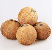 Machine commerciale d'épluchage de noix de coco coquille de noix de coco enlevant la machine d'éplucheur de peau brune de noix de coco à vendre