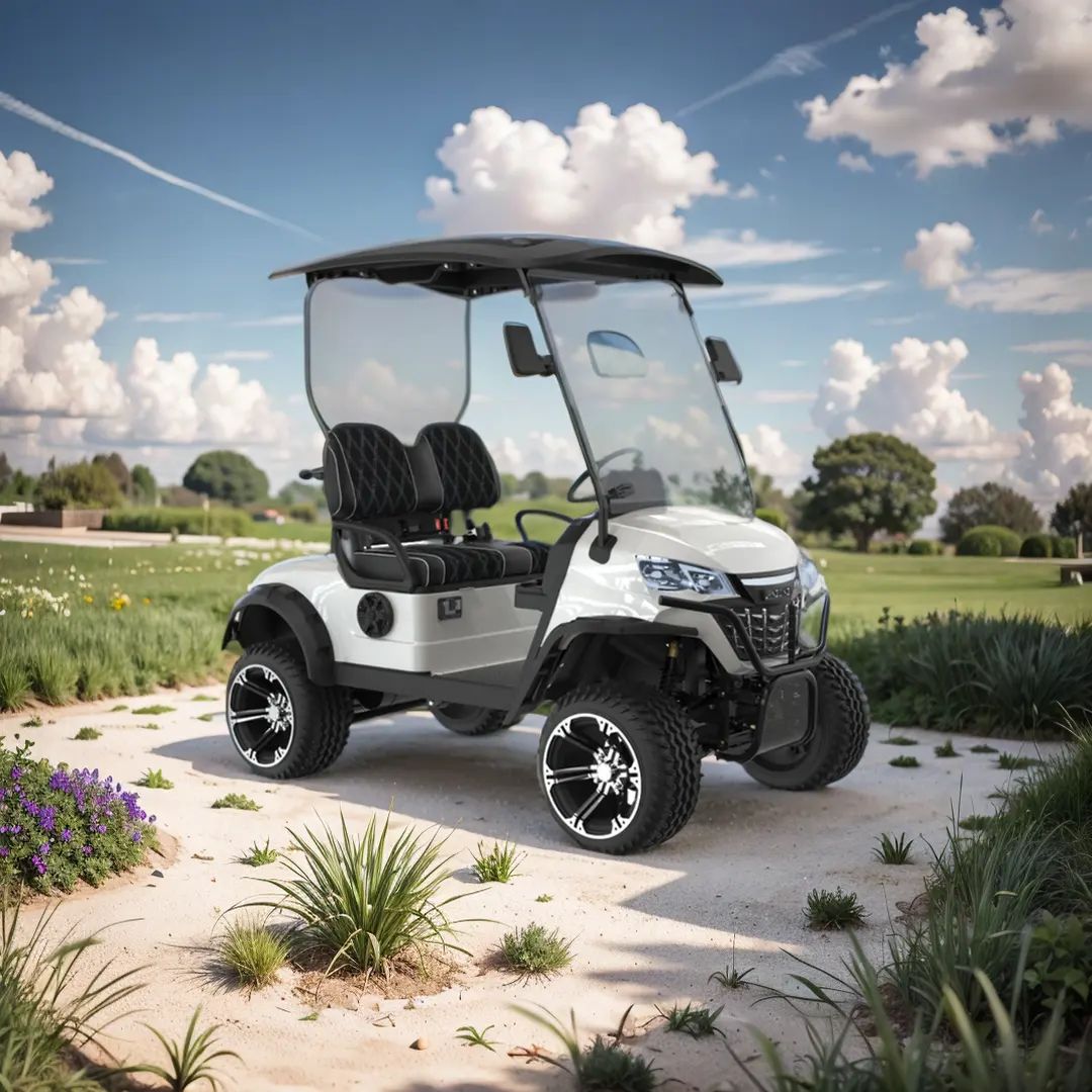 Buona vendita 48V 2 posti elettrico Golf Car a bassa velocità 40 KM/H Off Road CE certificato elettrico Golf Buggy Hunting Cart