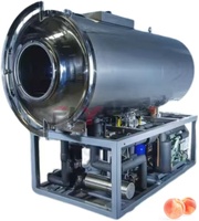 Flysun Automatische PLC-gestuurde SUS316L Vacuümvriesdroogmachine voor perziken en fruit, energiezuinig & hoge capaciteit