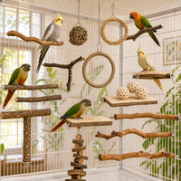 Ensemble de jouets pour oiseaux en bois naturel, perchoir pour perroquet, plateforme suspendue, jouet à mâcher, accessoires de cage