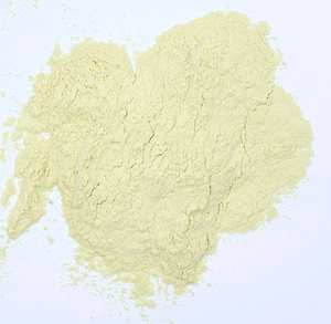 Bubuk Ekstrak <span class=keywords><strong>Chlorella</strong></span> (Faktor Pertumbuhan <span class=keywords><strong>Chlorella</strong></span> CGF ) OD1200 - Product Image 2