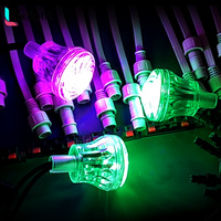 Lumières à pixels cabochon RGB DMX adressables OEM ODM 60 mm IP67 DC24V SMD5050 pour les lumières de lettres de parcs à thème de fête foraine